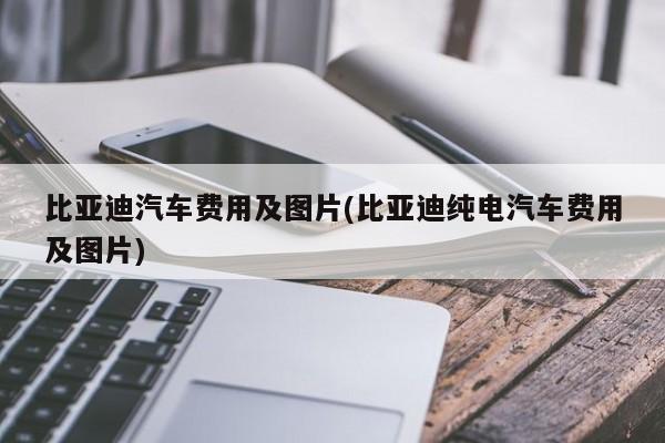 比亚迪汽车费用及图片(比亚迪纯电汽车费用及图片)