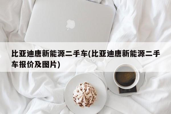 比亚迪唐新能源二手车(比亚迪唐新能源二手车报价及图片)