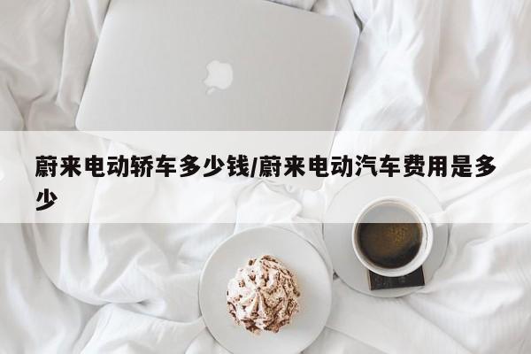 蔚来电动轿车多少钱/蔚来电动汽车费用是多少