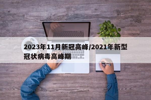 2023年11月新冠高峰/2021年新型冠状病毒高峰期